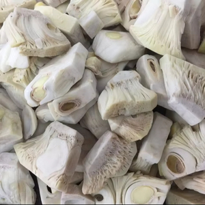 สินค้าขายดีประจำปี 2026 ขนุนแช่แข็ง จำหน่ายจำนวนมาก ราคาแข่งขันได้ - Product Image 1