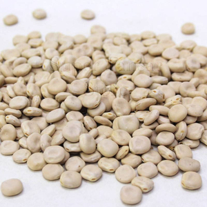ถั่วลูปีนแห้งเกรดพรีเมียม คัดพิเศษ ขนาดเล็ก 10 กก. ตากแดด โปรตีนสูง - Product Image 5