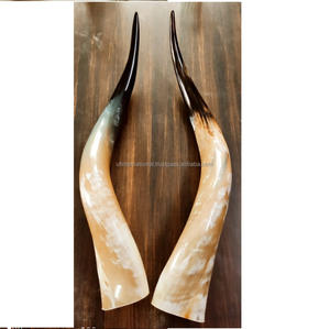 Bocina de búhos y de vaca, claxon blanco y negro, uso decorativo para el hogar, color natural, precio bajo, 1 par - Product Image 1