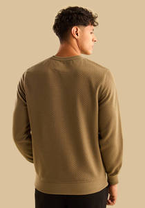 Sudadera de Manga Larga con Cuello Redondo, 100% Algodón Orgánico, Estilo Velour, Personalizable con Logotipo, para Hombre, Venta al Por Mayor, Marca Privada - Product Image 5
