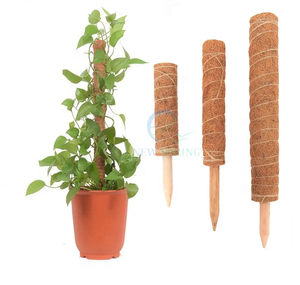 Poteau en mousse pour plantes d'intérieur/Matériau en mousse naturelle Bonne performance en eau/rétention Poteau en mousse pliable pour plantes fabriqué au Vietnam - Product Image 2