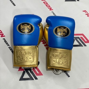 Gants de boxe en cuir professionnels No Boxing No Life - Gants de sparring personnalisables de haute qualité pour l'entraînement de boxe - Product Image 1