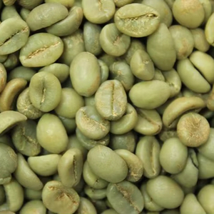 Wholesale Vietnam Specialty <b>Robusta</b> <b>Coffee</b> <b>Beans</b> S18, Foreign Matter 0.1%, Premium Grade, USDA & ISO 22000 Certified - Product Image 1