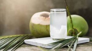 Agua de Coco Natural Congelada, Suministro a Granel, Calidad de Exportación - Product Image 2