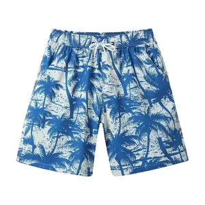 2024 Factory supplier America Europe size summer beach pants men's casual quick-drying surf swim shorts men board shorts