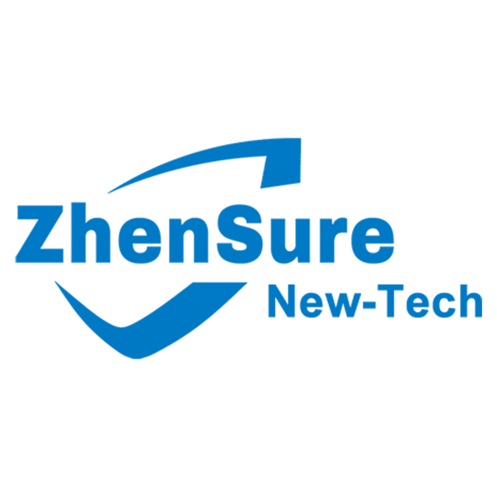 Shandong Zhensure New Materials Technology Industry Co., Ltd.