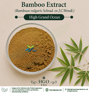 Extrait de bambou (Bambusa vulgaris Schrad.) fourni directement par l'usine HGO ex J.C.Wendl.) (De qualité alimentaire) 4:1 5:1 10:1 20:1 100:1 200:1 - Product Image 1