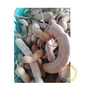 Tamarind Block Wholesale Sour Tamarind Agriculture Product 10-25Kg <b>Boxes</b> 2-Year Shelf Life Spice From Vietnam Tamarin Supplier - Product Image 4