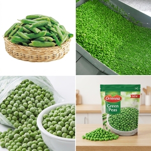 Petits pois verts séchés pour l'industrie des snacks grillés, ingrédient alimentaire naturel à base de plantes, riche en protéines, pour des régimes alimentaires sains - Product Image 6