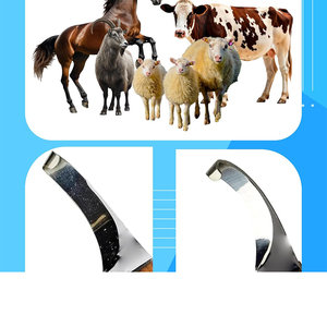 Outils de toilettage pour chevaux, lames en acier inoxydable, instruments vétérinaires, couteaux à sabots, produit le plus vendu, couteau à sabots à faible MOQ - Product Image 4