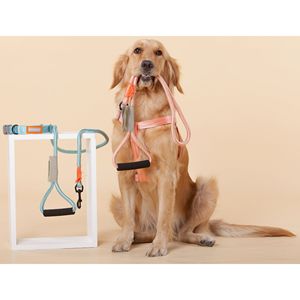 Pettorina e Guinzaglio per Cani 2-in-1 in Nylon Resistente Macaron - Pettorine Premium per Animali Domestici - Product Image 5