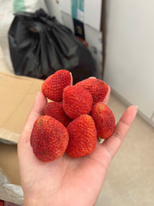 Fresas enteras liofilizadas de exportación de fábrica de Vietnam, paquete a granel para decoración de yogur, cereales y productos de panadería - Product Image 2
