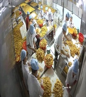 [Offre Spéciale] Mangues Séchées Naturellement Sucrées, Riches et Vibrantes, Snack de Fruits Tropicaux de Ferme, Tranches de Mangues Séchées à l'Air Certifiées ISO/HACCP du Vietnam