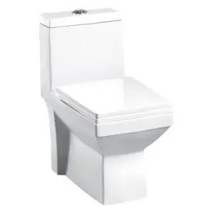 Indischer Hersteller Ripon Square Modell Keramik Einteiliger Wassers chrank Toilette Kommode WC S / P Falle Soft Close Toilette Kommode Set