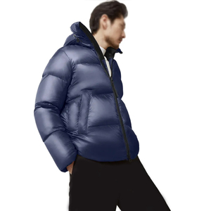 Nouvelle arrivée : veste d'hiver pour homme, légère, de haute qualité, avec capuche et logo sur le devant, respirante et écologique, faible MOQ - Product Image 3