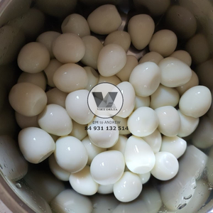 BEST SELLER Eco Friendly Bulk Farm Fresh Canned Quail <b>Eggs</b> in Brine Tinned Peeled Quail <b>Egg</b> Ready to Eat for Hotpot Soup Dishes - Product Image 4
