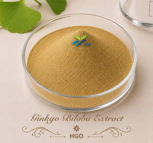 Suministro directo de fábrica HGO de extracto natural puro de Ginkgo Biloba (grado de alimentos saludables) Especificación 10:1 (extracto de proporción) - Product Image 1