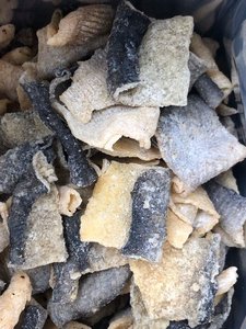 Dried Pangasius | Basa Skin Pieces Salt Preserved Low-Salt <b>Protein</b> Snack Bag Pack | Natural Sun-Dried Bag | Vietnam Origin - Product Image 2