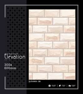 Azulejo de Porcelana de Alta Profundidad para Paredes Urbanas, 300x600mm, 30x60cm, 12x24, Acabado Mate, Texturizado, Cerámico, Decorativo para Interiores - Product Image 3