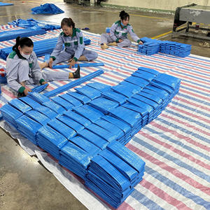 Lona Impermeable Azul de Polietileno, Gran Capacidad, Alta Durabilidad, Opciones de Color y Tamaño Personalizadas, Cubierta Reforzada - Product Image 1