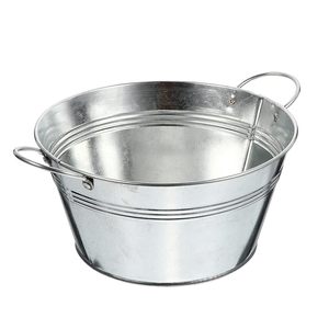 Elegant Iron Galvanized Planter For Succulent Flower And Green <b>Plant</b> Display In Contemporary Home Spaces - Product Image 4