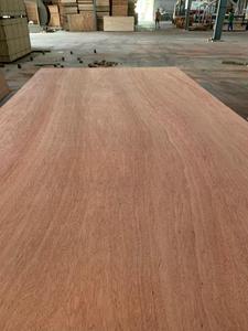 Tablero de Madera Contrachapada de Alta Calidad de 18 mm, Diseño Moderno Comercial, Núcleo de Madera Dura Bintangor/Okume/Pino, Revestimiento de Melamina, 1 Año de Garantía - Product Image 2