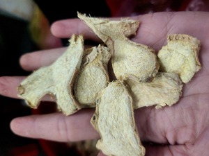 Rodajas de Jengibre Seco Vietnamita FD a Granel, Sabor Natural, Envasado al Vacío para Procesamiento de Alimentos - Sra. Tarina - Product Image 1