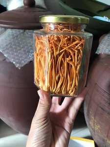 Cordyceps militaris แช่แข็งแห้งสำหรับแบรนด์อาหารเสริม - Product Image 6