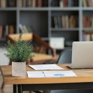 2 Pack Small Fake Rosemary Potted Artificial Plants Home <b>Kitchen</b> Bathroom Farmhouse Coffee Table Dec <b>for</b> <b>Shelf</b> Desk <b>for</b> - Product Image 5