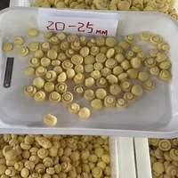Venta al por mayor de champiñones salados deliciosos enlatados en bidones, champiñones frescos conservados, champiñones blancos a precio de fábrica