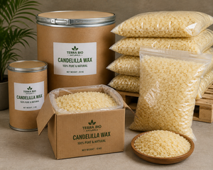 Cire de Candelilla de Qualité Cosmétique pour Produits de Soin de la Peau – Fournisseur et Exportateur en Gros d'Inde, Vente en Gros - Product Image 6