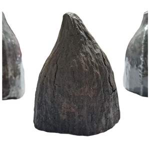 COSSE DE CACAO SÉCHÉE NATURELLE-POUR AQUARIUM/TERRARIUM - Product Image 2