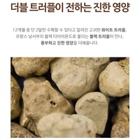 Krim Malam Korea K-Beauty Double Truffle Ceramide Hyaluronic Acid Anti-Aging Pelembap 100ml Botol Bergizi