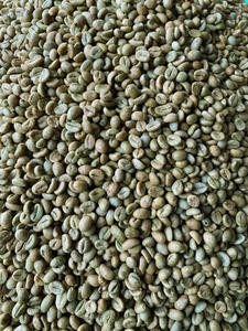 Organic Arabica Green Coffee <b>Beans</b> Vietnam Size 16 USDA Certified Only 0.1% Black Broken Export Quality Standard TNFOOD Brand - Product Image 5