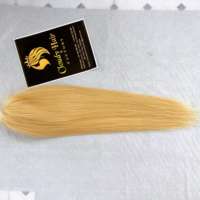 13x4 13x6 pleine dentelle frontale perruques de cheveux humains 613 perruque de cheveux blonds avec des cheveux bruts vietnamien 180% densité