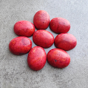 Coral Rojo Natural en Forma de Cabujón, Corte Ovalado, Parte Posterior Plana, Calibrado, Certificado por Terceros, de Rajasthan, para Joyería - Product Image 3