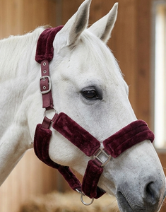 HM GLOBAL Harnais équestre pour cheval, en polaire durable de qualité supérieure, rembourré en nylon PP, réglable, avec boucles en acier, pour Cob et Cheval de taille haute, haute qualité - Product Image 5