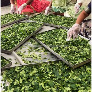 ผงใบกะหรี่บริสุทธิ์ 100% เครื่องเทศอินเดียธรรมชาติ ผลิตภัณฑ์ปาติล ฟู้ดส์ ไม่มีสารกันบูด - Product Image 2