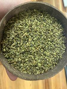 Capullo de Sophora Japonica Seco al por Mayor, Ingrediente Botánico Natural, Proveedor de Exportación a Granel de Vietnam - Product Image 2