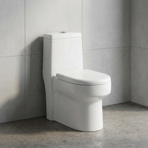 Export Quality Washdown Ceramic One-Piece Water Closet Toilet WC Commode Set - Made In India Sanitary Ware - Product Image 6