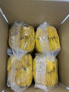 Rebanada de mango tropical dorado Textura masticable suave Secado con tecnología de secado AD Snack de exportación para el comercio global por 99 Gold Data - Product Image 6