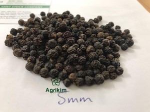 Mejor precio Pimienta negra de alta calidad 5mm 500 FAQ 500 MC 550 MC Procesamiento crudo seco Proveedor confiable Mr. Henry + 84368591192 - Product Image 4