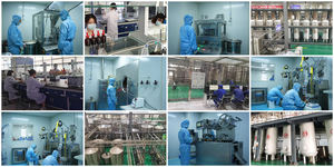 Rainwood BCAA en Polvo 99% Puro de Alta Calidad, Certificado Vegano, <span class=keywords><strong>Pre</strong></span>-Entrenamiento para el Crecimiento Muscular, Uso en Adultos - Product Image 4