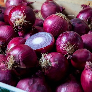 Fresh <b>Red</b> Onion Naturally Grown Healthy <b>Bulbs</b> With Long Lasting Freshness Ready For Bulk Supply To Retailers And Wholesalers - Product Image 2