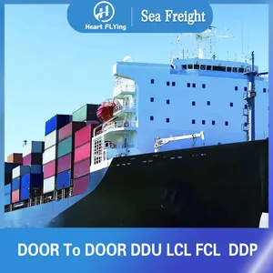 Dhl Hight Competitive Good shipping rates Sea Freight Cargo Services China To Canada Italy Australia Canada UK France Germany It