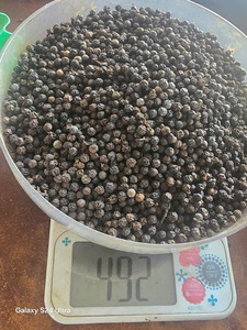 พริกไทยดำอบแห้ง 500 กรัม/ลิตร 550 กรัม/ลิตร เมล็ดเต็ม แหล่งกำเนิดเวียดนาม ไม่มีสิ่งแปลกปลอม ปริมาณไพร์เพอรีนสูง รสเผ็ดธรรมชาติ - Product Image 3