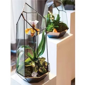 Modern <b>Frame</b> Indoor Garden Metal Terrarium Glass Planter Decorative Geometric <b>Plant</b> Holder Home Decor - Product Image 3