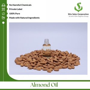Good Quality <b>Bulk</b> Selling Halal Certified <b>Sweet</b> Almond Cold Pressed Oil Available at Best <b>Bulk</b> Price From Exporter - Product Image 2
