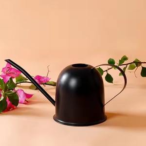 Arrosoir moderne en métal, arrosoir en acier inoxydable pour l'entretien des plantes de jardin à domicile - Product Image 3