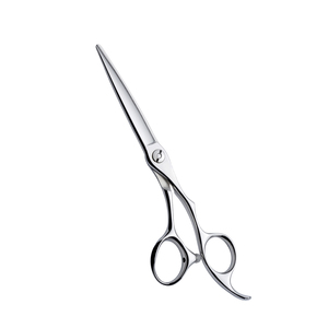 Ciseaux de coiffure professionnels argentés à lame rasoir, ciseaux à effiler en acier, ciseaux de coupe pour barbier - Product Image 3